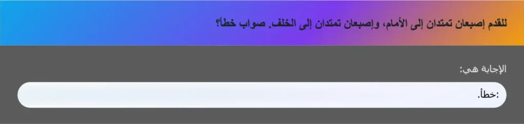 للقدم إصبعان تمتدان إلى الأمام، وإصبعان تمتدان إلى الخلف. صواب خطأ؟