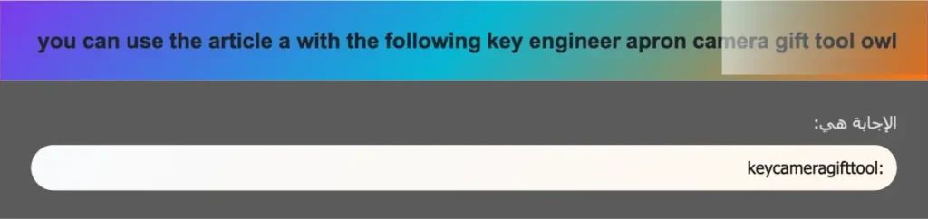 you can use the article a with the following key engineer apron camera gift tool owl